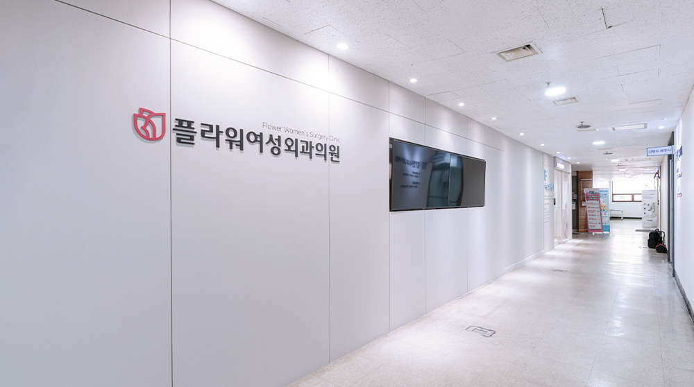 둘러보기사진02